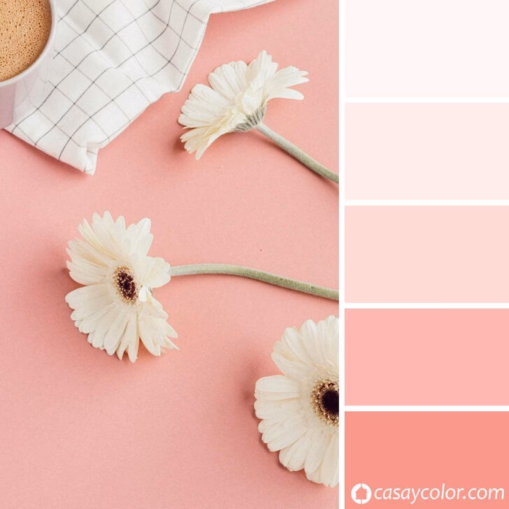 ¿Qué es el color rosa pastel?