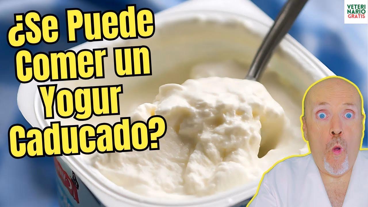 ¿Cómo hacer tortitas con yogur?