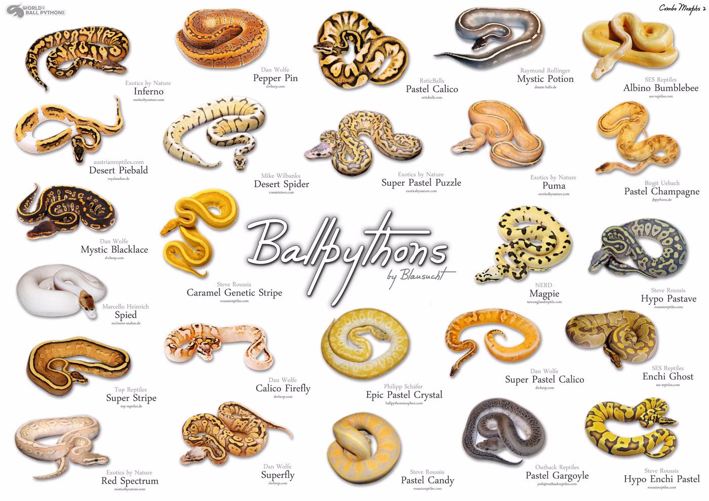 What color symbolism does a snake have?