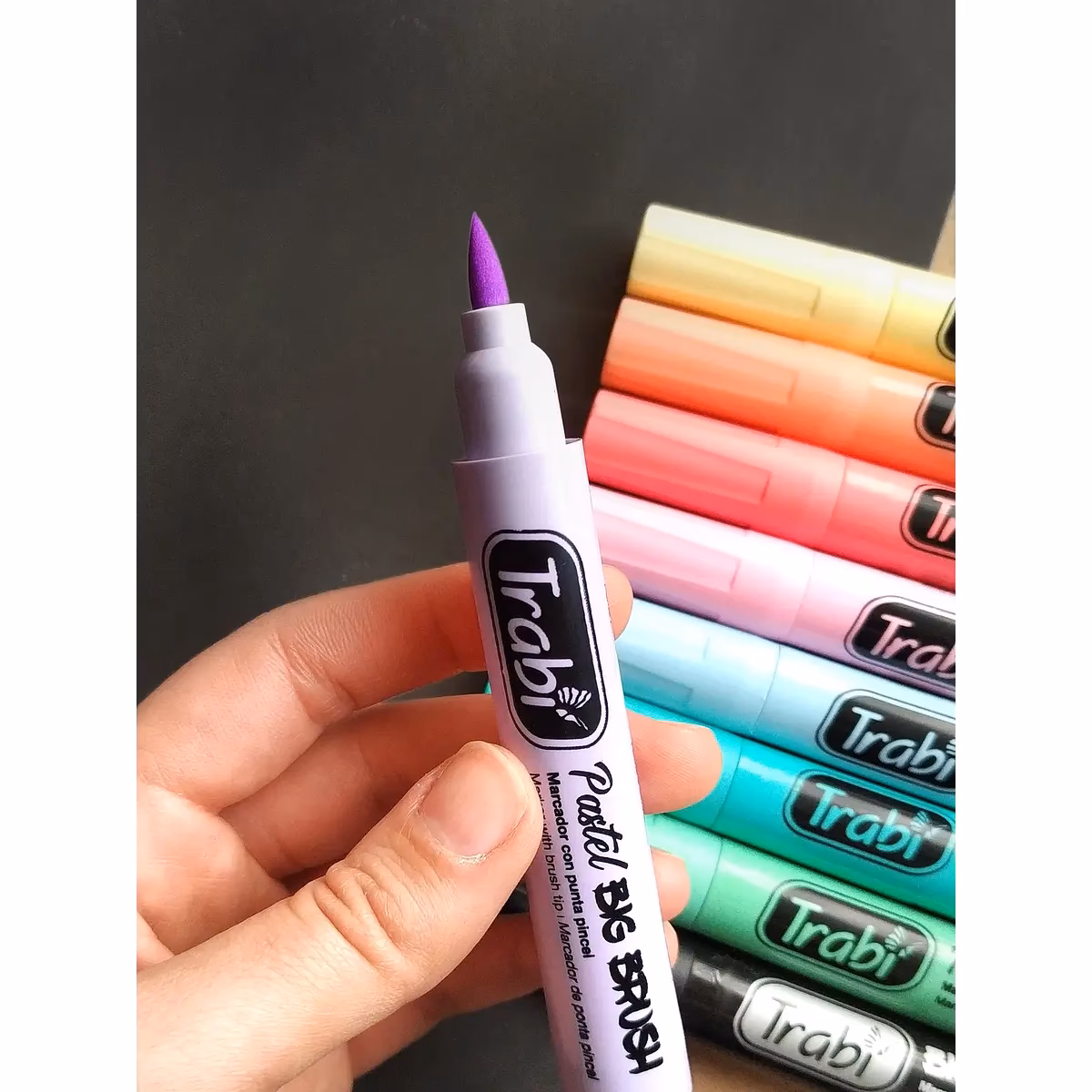 ¿Cuáles son los diferentes tipos de pasteles de temporada?