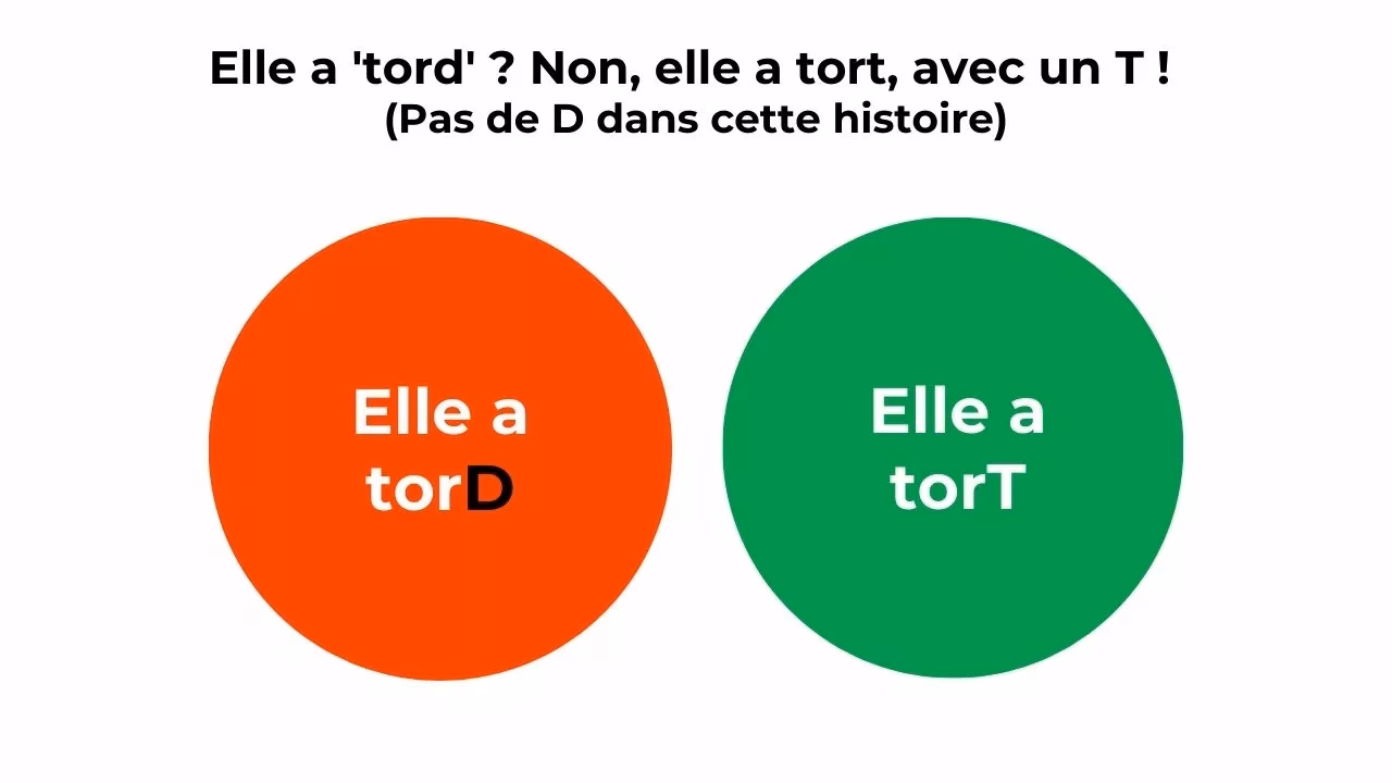 Qu'est-ce que l'échelle des torts ?
