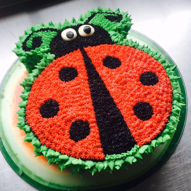 ¿Qué es una torta de biscochos?