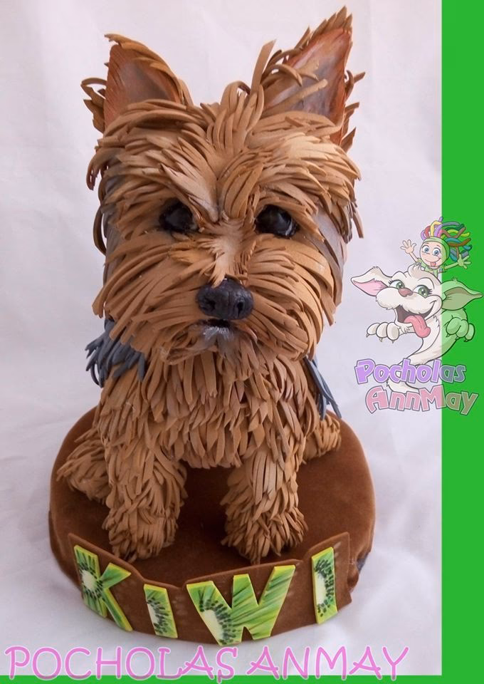 ¿Cómo levantar las orejas de un yorkshire terrier?