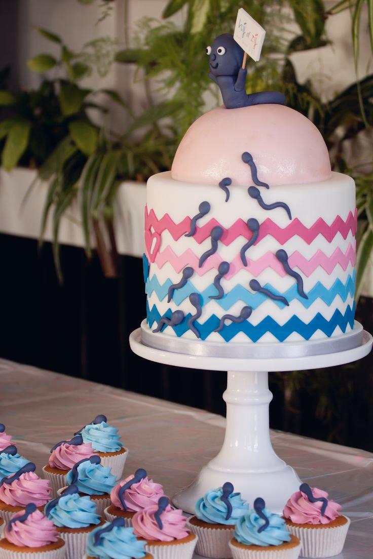 ¿Qué es la formación de espermatozoides?