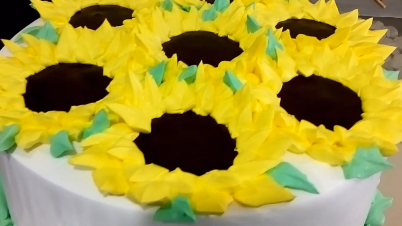 ¿Cuánto cuesta una torta de girasol?