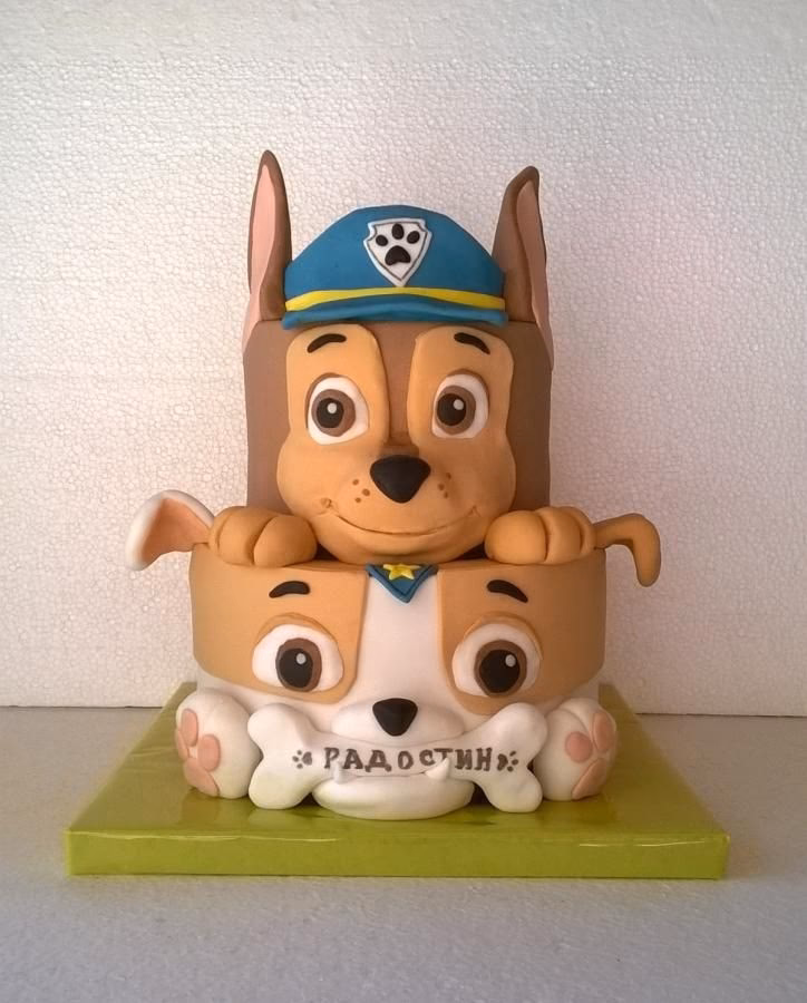 ¿Cómo se llaman los Cachorros de PAW Patrol?