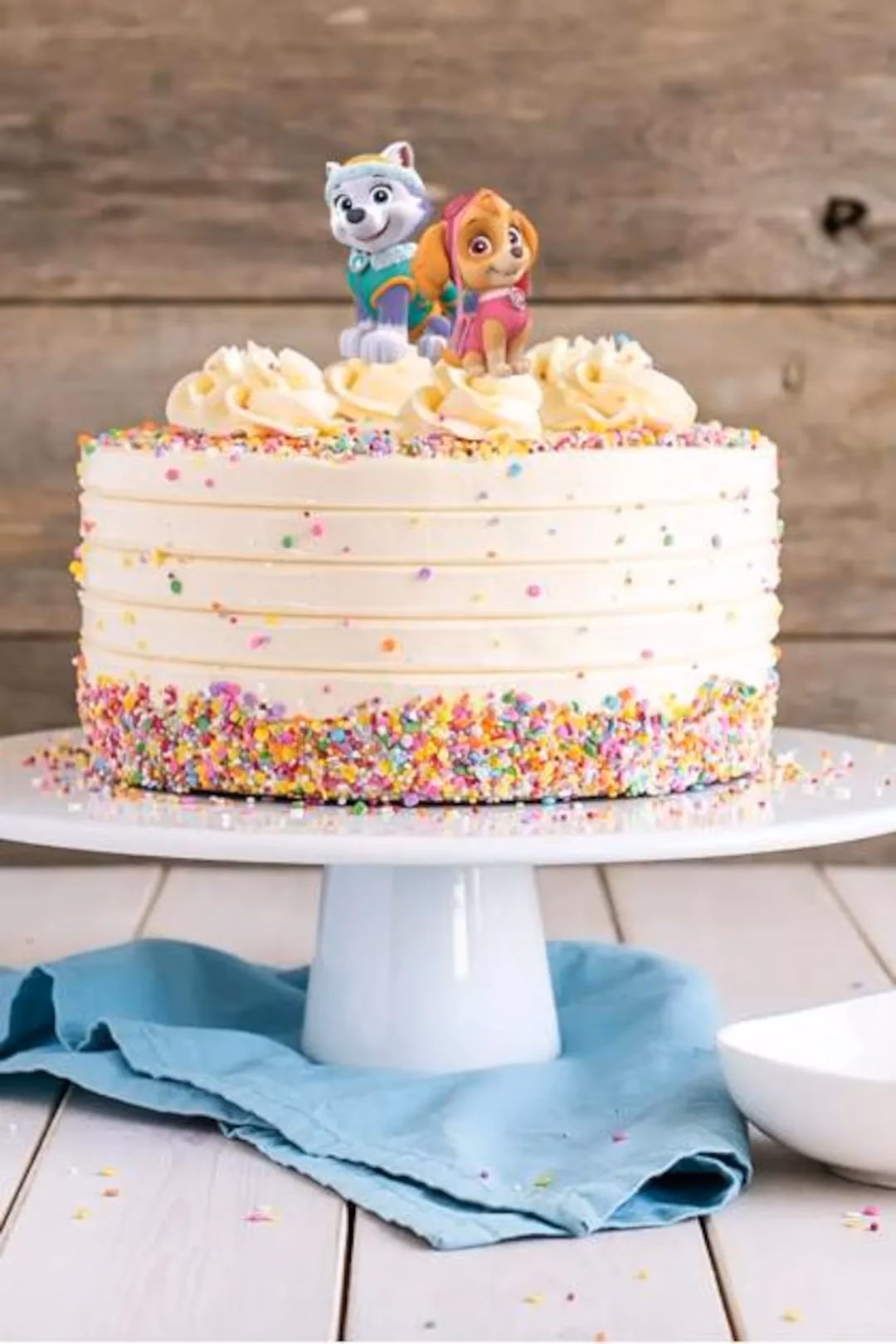 ¿Qué raza es Skye de PAW Patrol?