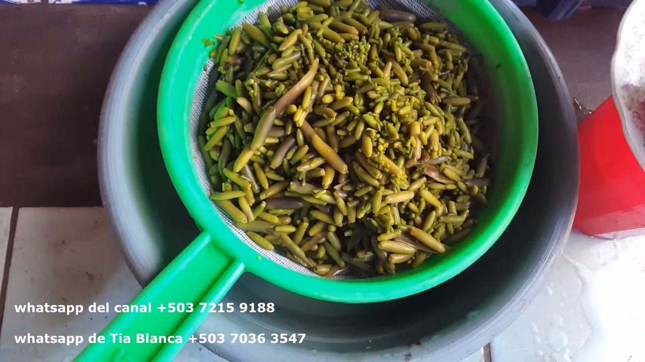 ¿Cómo hacer una torta de pistacho picado?