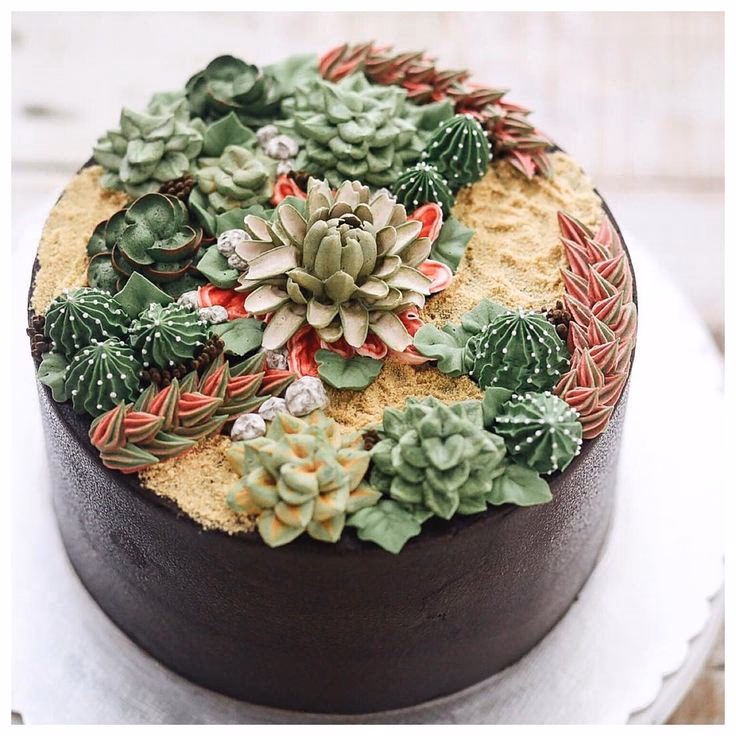 ¿Cómo cuidar los terrarios?