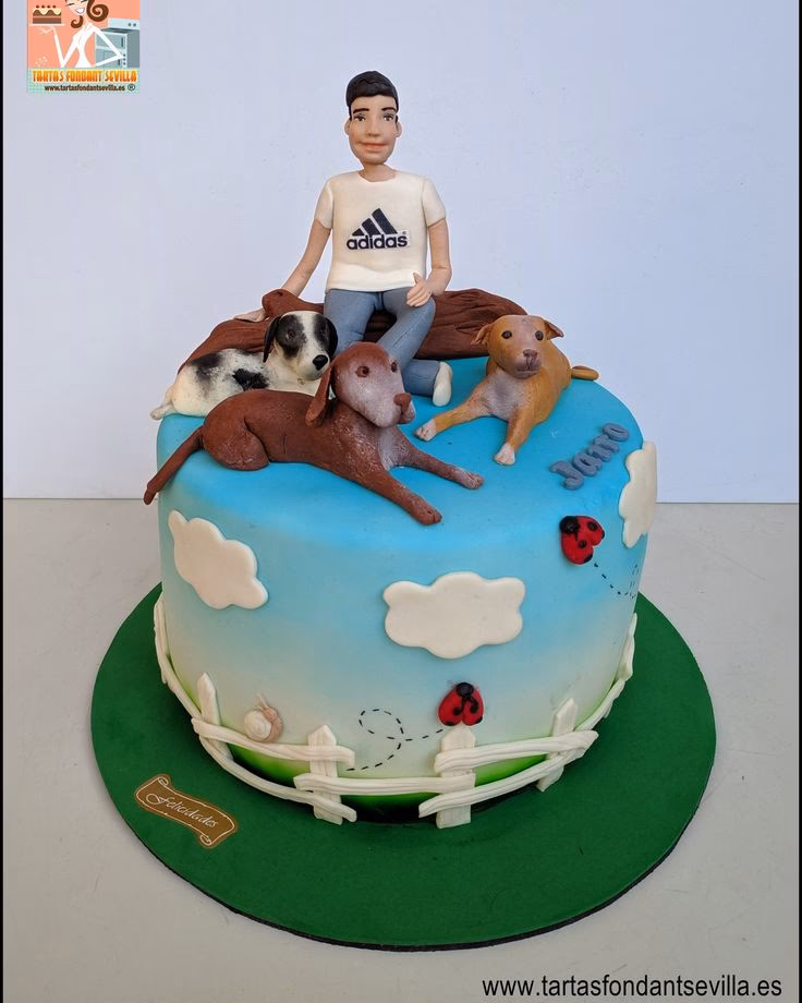 ¿Cuáles son los diferentes tipos de tortas para mascotas?