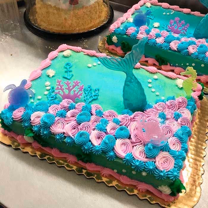 ¿Cuáles son las características de La sirenita?