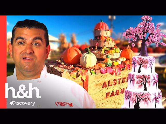 ¿Cuál es la historia de la panadería de Buddy Guastaferro?