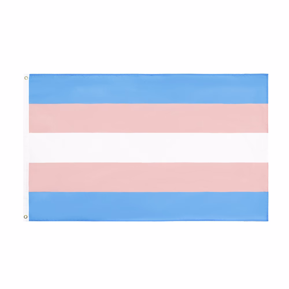 What does a transgender flag mean?