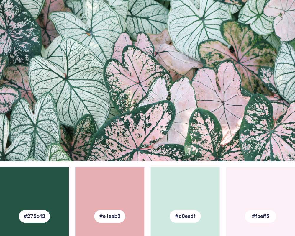 ¿Cuál es el código hexadecimal del verde pastel?