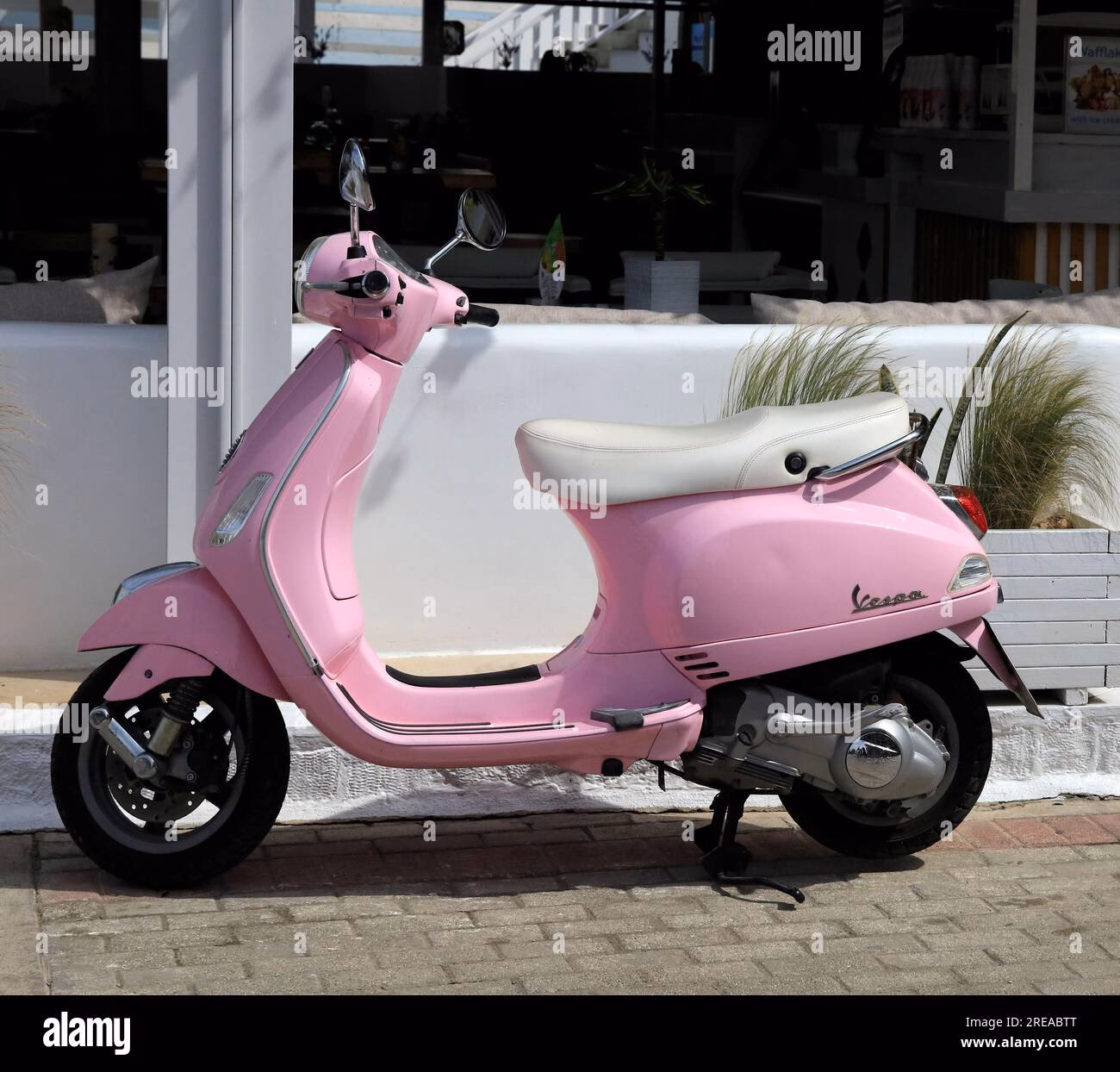 ¿Qué características tiene el rostro de Vespa primavera?