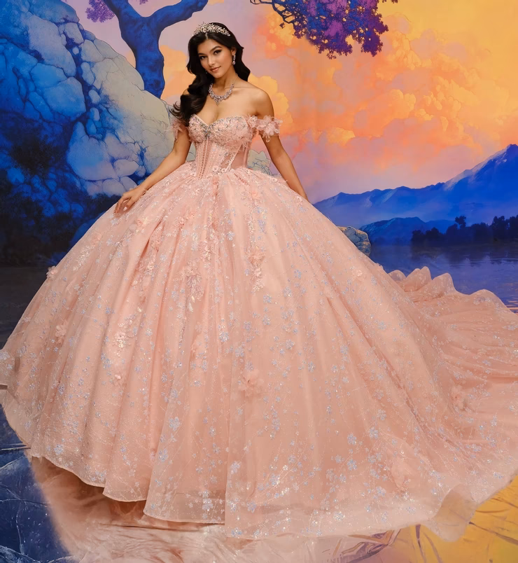 ¿Cómo personalizar los vestidos de XV años?