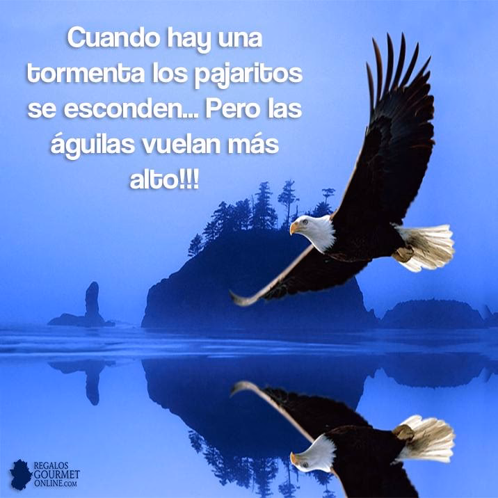 ¿Cómo fue recibida la película 'Pájaros volando'?